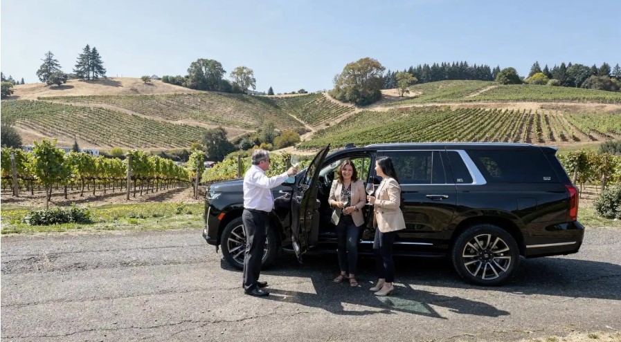 Willamette Valley Wine Tours: Dundee Hills & Newberg