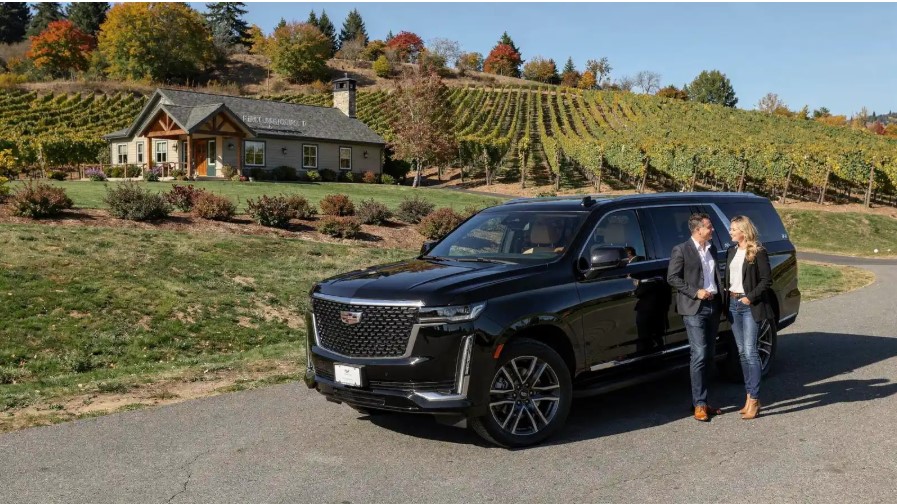 Perfect Willamette Valley Wine Tour in Willamette Valley, Oregon