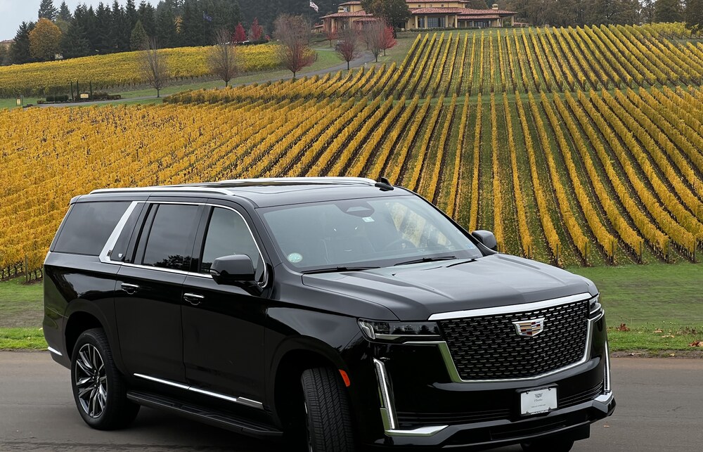 Wine Tours